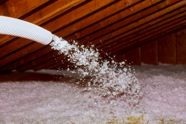 Best Energy Efficiency Insulation in Cleary, MS