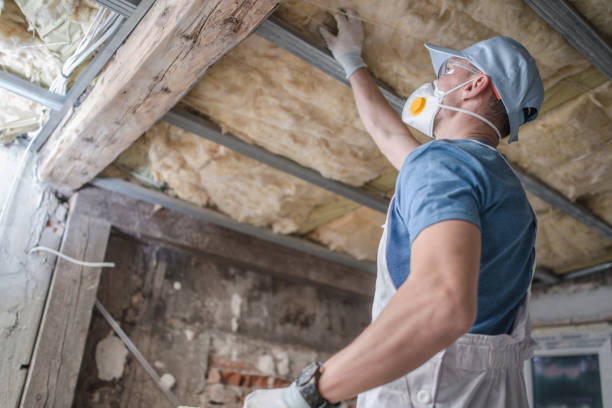 Best Specialized Insulation Services in Cleary, MS