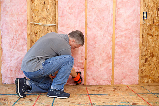 Best Spray Foam Insulation in Cleary, MS